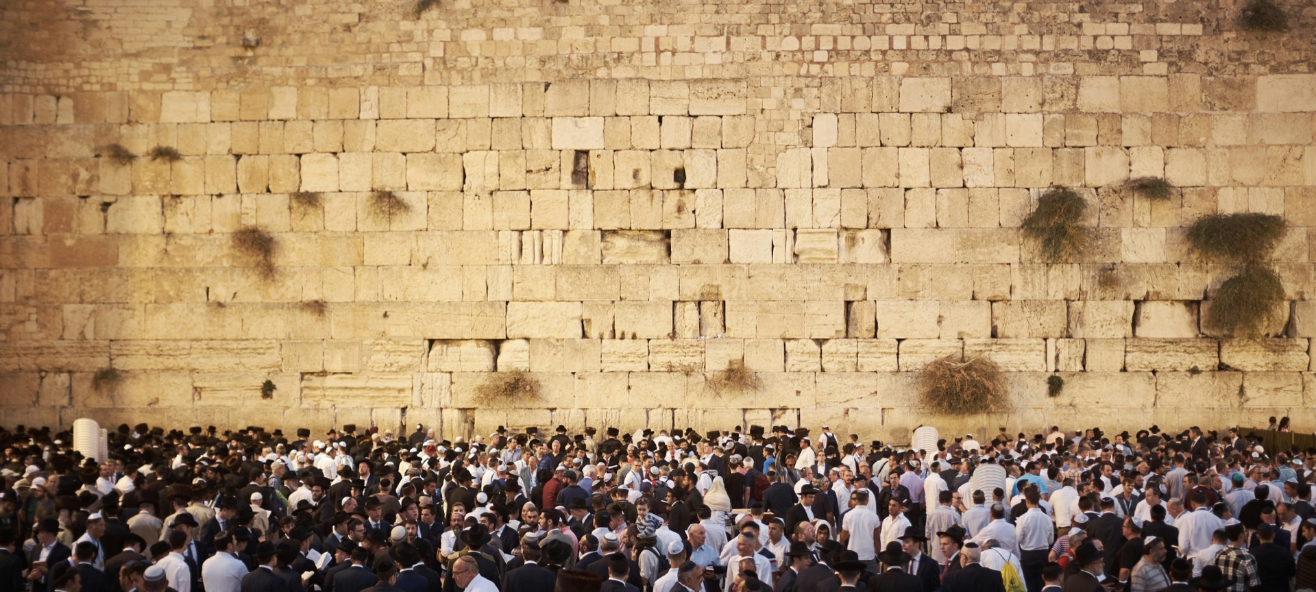 The Western Wall